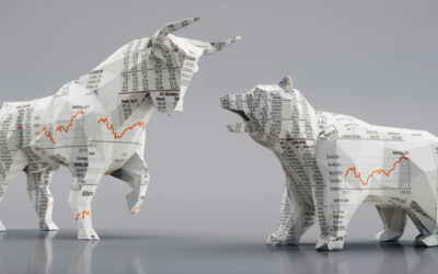 Why do we Even Have Bull and Bear Markets?