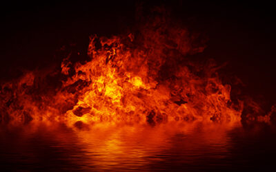 Invest With FIRE and Never Look Back