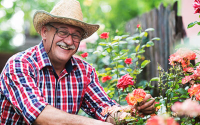Four Ways to Make the Most of Retirement